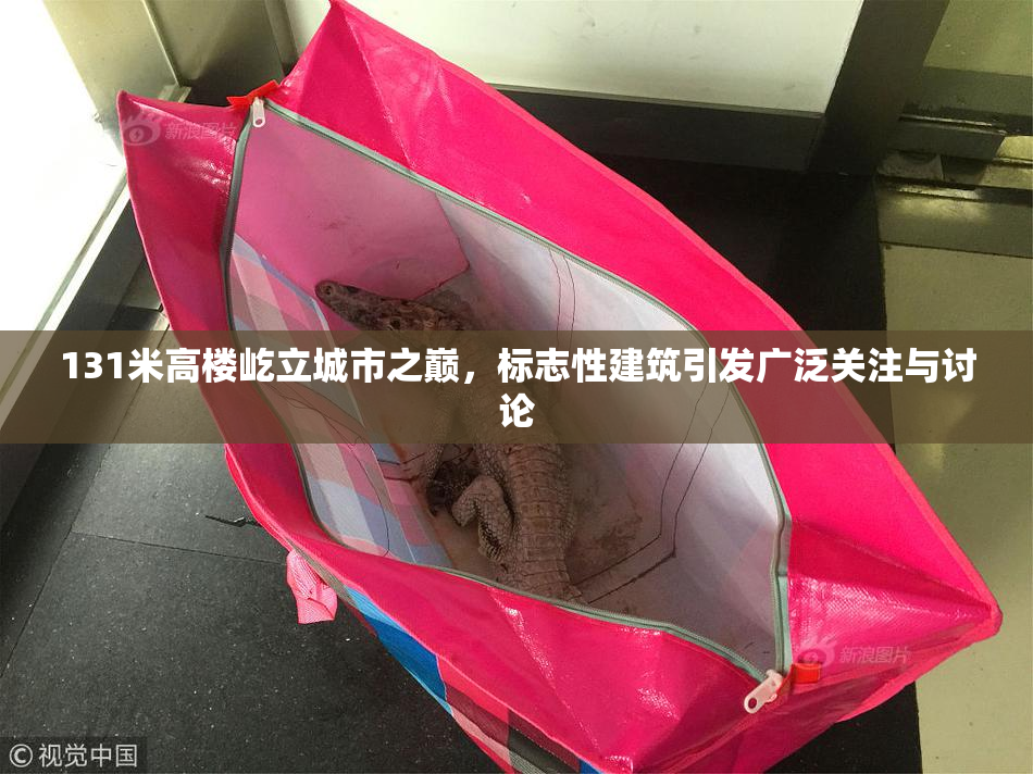 131米高楼屹立城市之巅，标志性建筑引发广泛关注与讨论