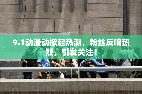 9.1动漫动掀起热潮，粉丝反响热烈，引发关注！