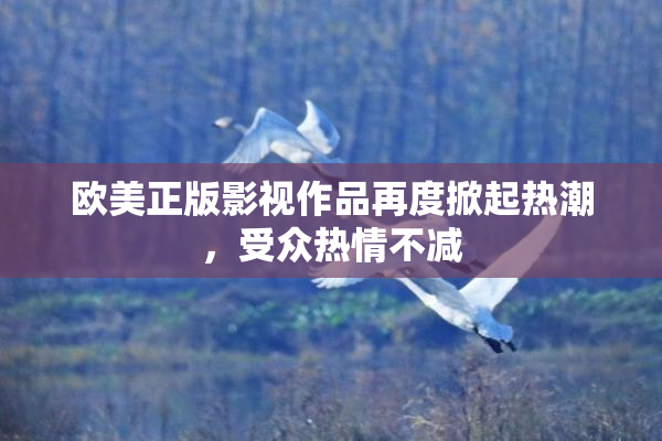 欧美正版影视作品再度掀起热潮，受众热情不减
