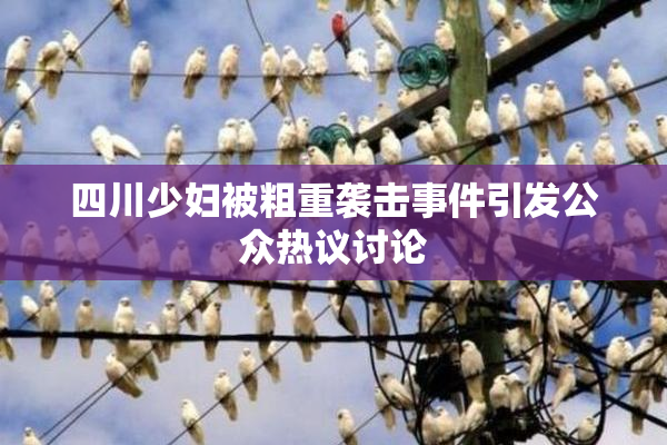 四川少妇被粗重袭击事件引发公众热议讨论