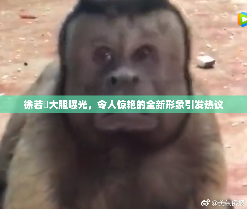 徐若瑄大胆曝光，令人惊艳的全新形象引发热议
