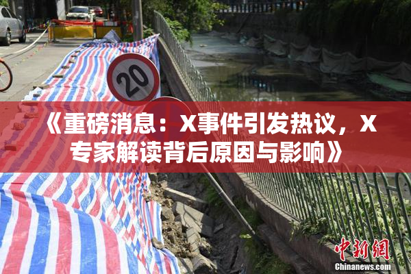 《重磅消息：X事件引发热议，X专家解读背后原因与影响》