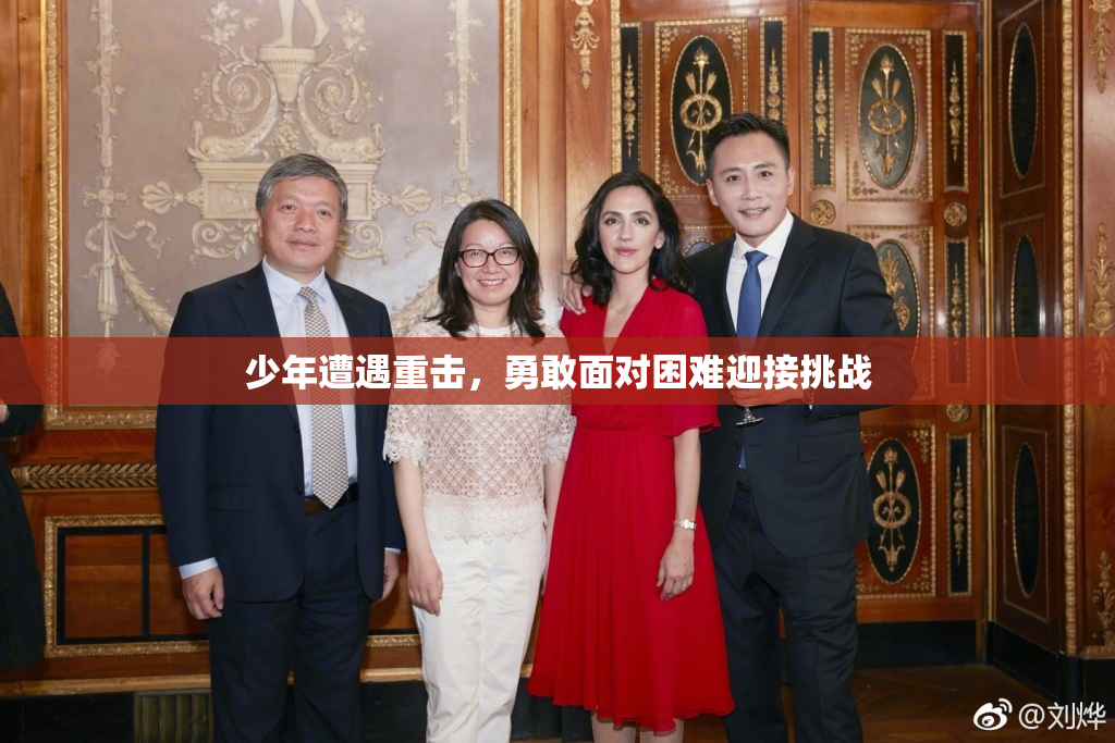 少年遭遇重击，勇敢面对困难迎接挑战