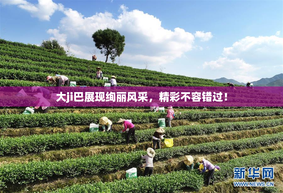 大ji巴展现绚丽风采，精彩不容错过！