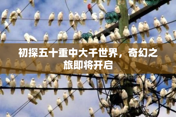 初探五十重中大千世界，奇幻之旅即将开启