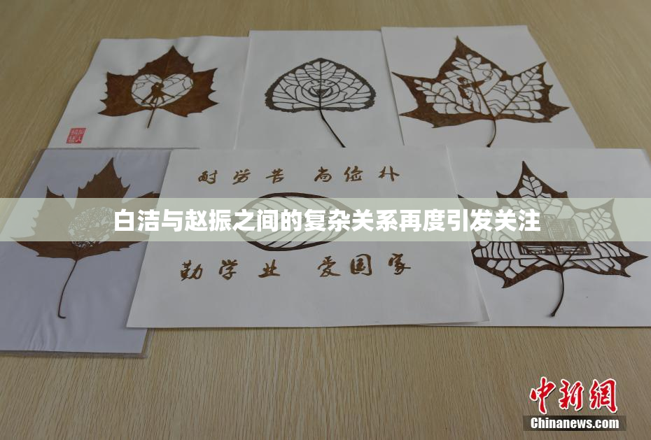 白洁与赵振之间的复杂关系再度引发关注