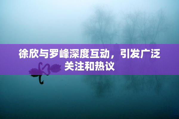 徐欣与罗峰深度互动，引发广泛关注和热议