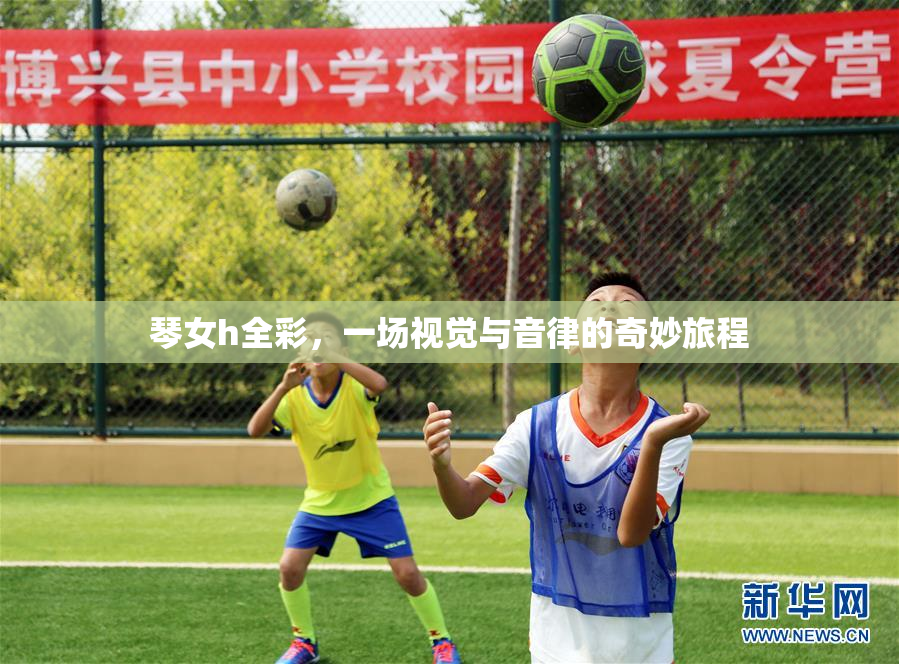 琴女h全彩，一场视觉与音律的奇妙旅程