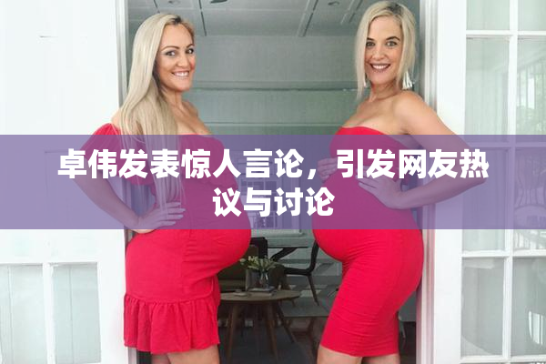 卓伟发表惊人言论，引发网友热议与讨论