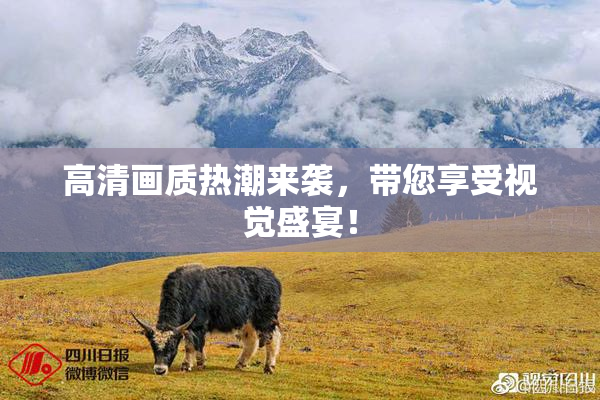 高清画质热潮来袭，带您享受视觉盛宴！