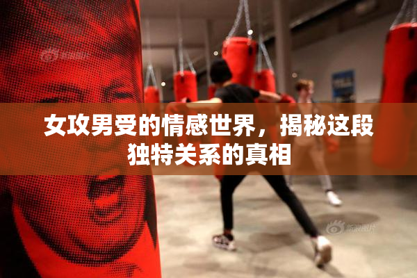 女攻男受的情感世界，揭秘这段独特关系的真相