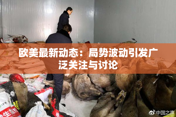 欧美最新动态：局势波动引发广泛关注与讨论