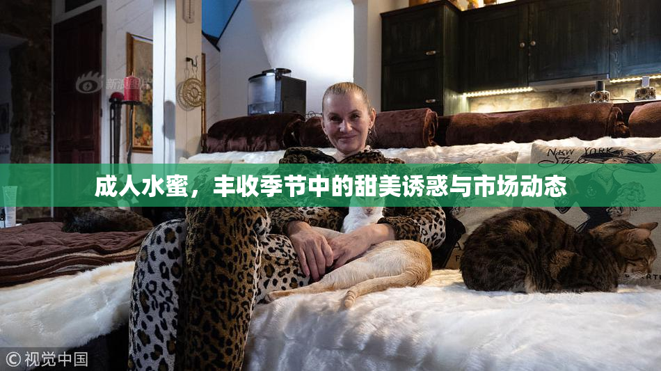 成人水蜜，丰收季节中的甜美诱惑与市场动态