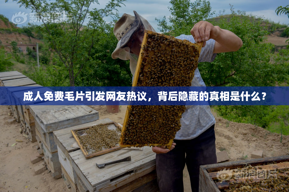 成人免费毛片引发网友热议，背后隐藏的真相是什么？