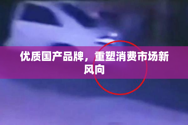 优质国产品牌，重塑消费市场新风向