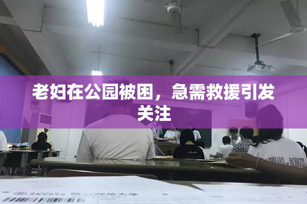 老妇在公园被困，急需救援引发关注