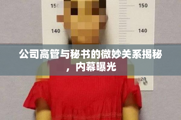 公司高管与秘书的微妙关系揭秘，内幕曝光