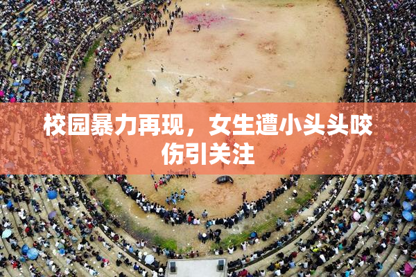 校园暴力再现，女生遭小头头咬伤引关注