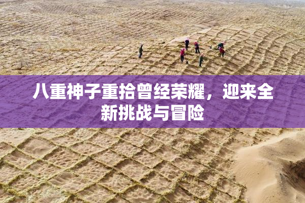 八重神子重拾曾经荣耀，迎来全新挑战与冒险
