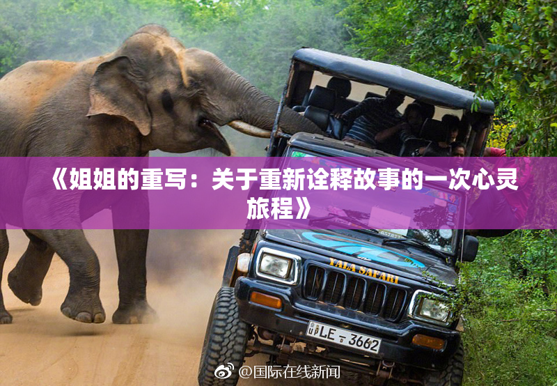 《姐姐的重写：关于重新诠释故事的一次心灵旅程》