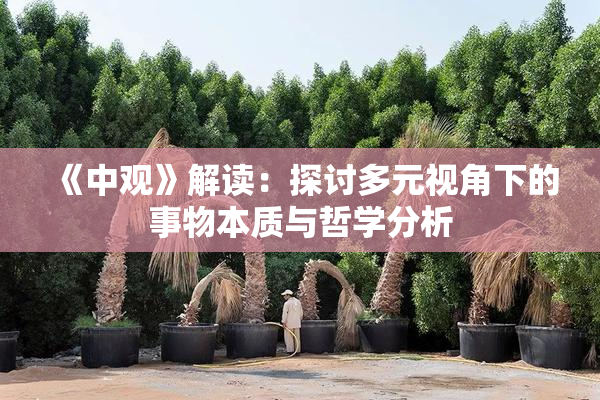 《中观》解读：探讨多元视角下的事物本质与哲学分析