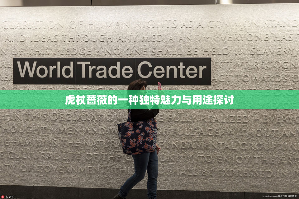 虎杖蔷薇的一种独特魅力与用途探讨