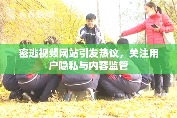 密逃视频网站引发热议，关注用户隐私与内容监管