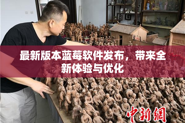 最新版本蓝莓软件发布，带来全新体验与优化