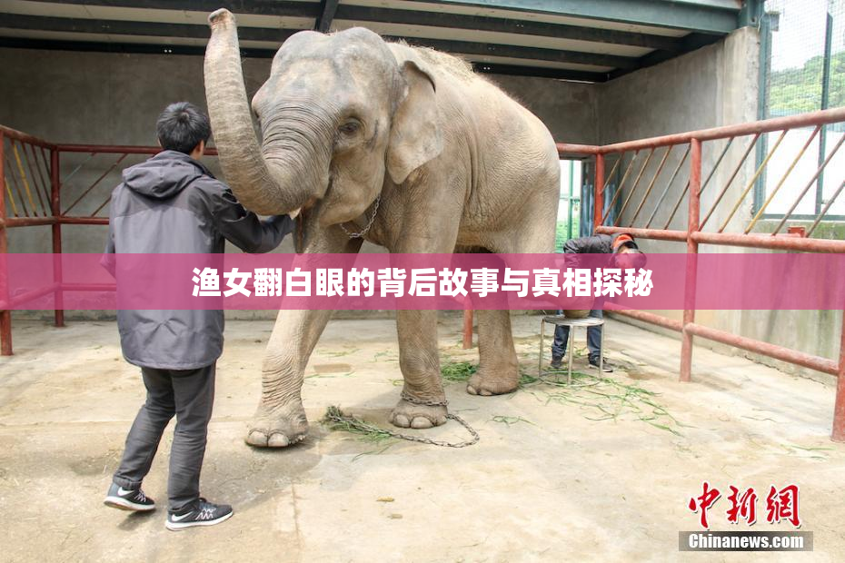 渔女翻白眼的背后故事与真相探秘