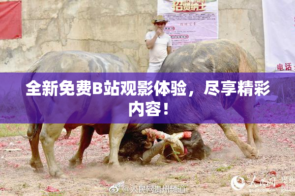 全新免费B站观影体验，尽享精彩内容！