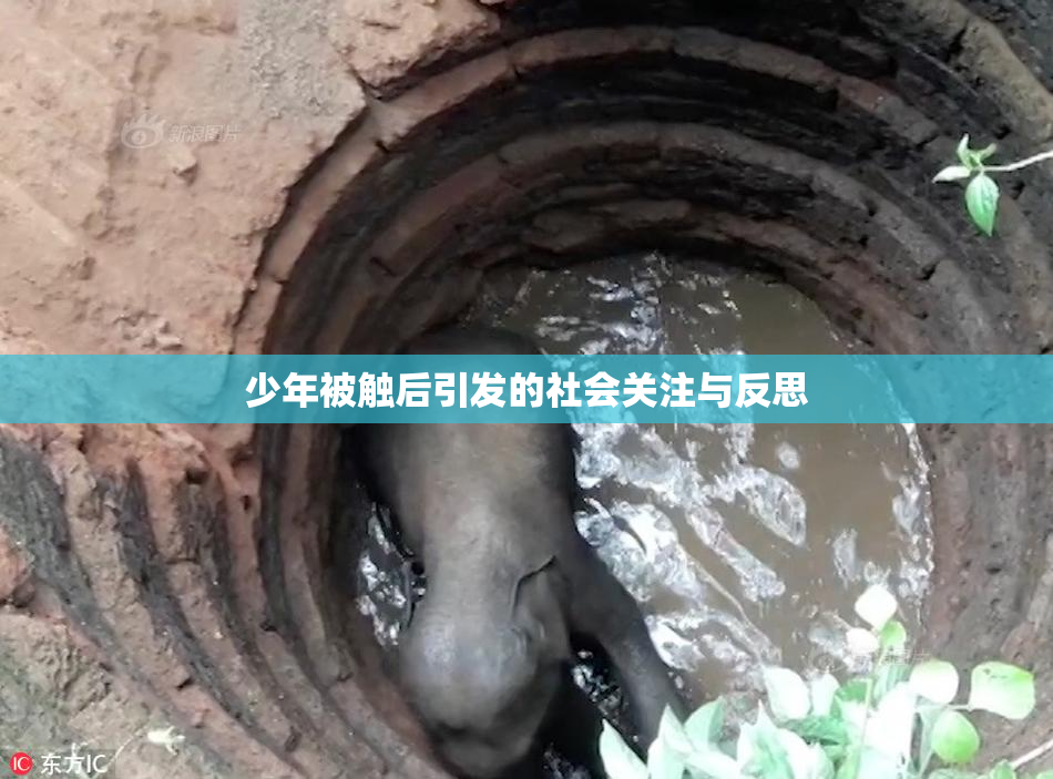 少年被触后引发的社会关注与反思