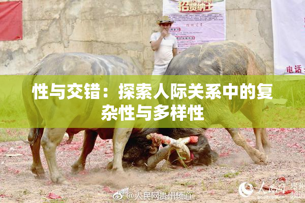 性与交错：探索人际关系中的复杂性与多样性