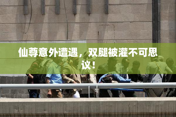 仙尊意外遭遇，双腿被灌不可思议！