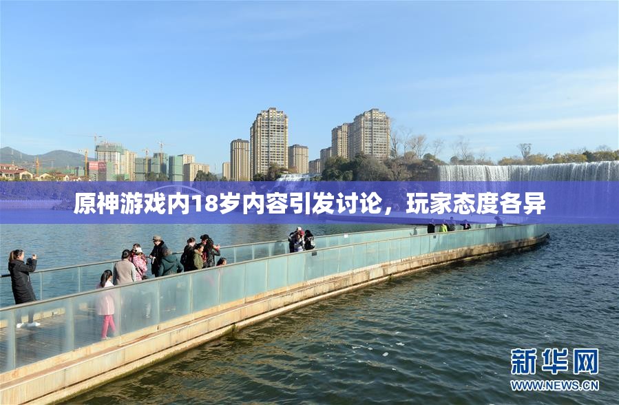 原神游戏内18岁内容引发讨论，玩家态度各异