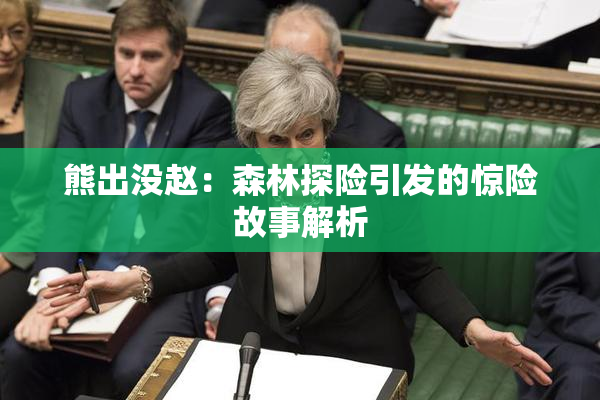 熊出没赵：森林探险引发的惊险故事解析