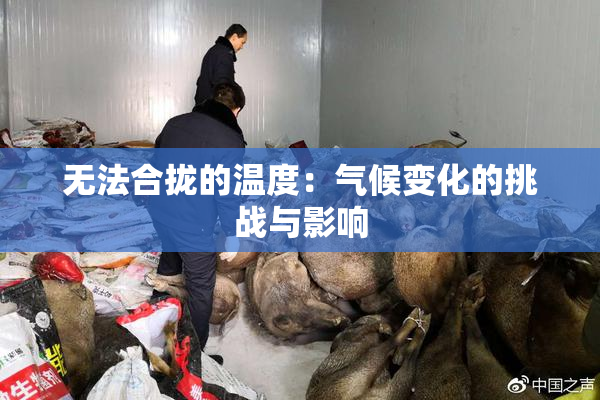 无法合拢的温度：气候变化的挑战与影响