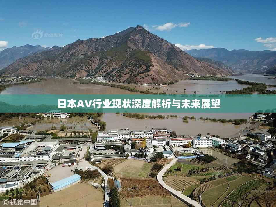 日本AV行业现状深度解析与未来展望