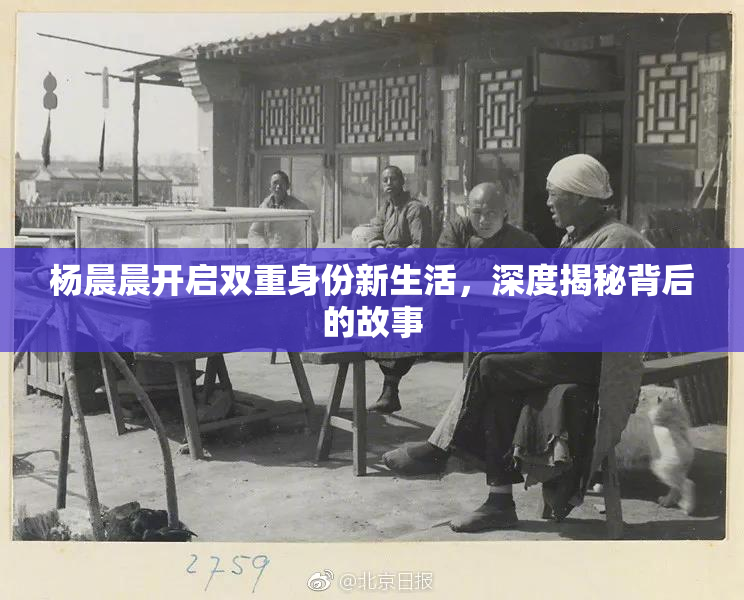 杨晨晨开启双重身份新生活，深度揭秘背后的故事