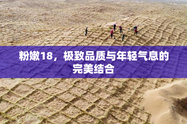 粉嫩18，极致品质与年轻气息的完美结合