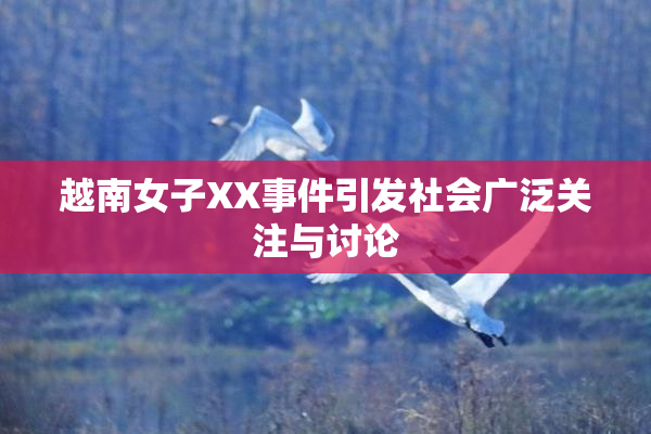 越南女子XX事件引发社会广泛关注与讨论