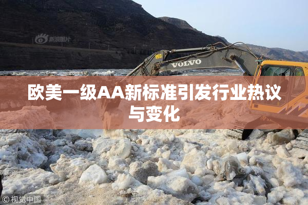 欧美一级AA新标准引发行业热议与变化