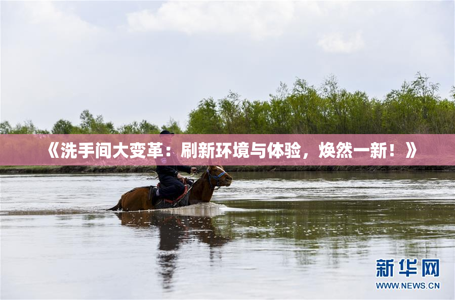《洗手间大变革：刷新环境与体验，焕然一新！》