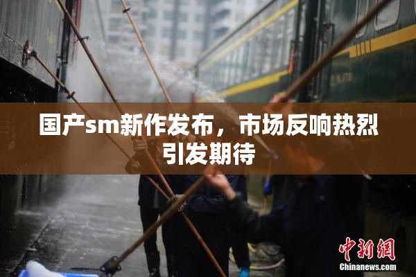 国产sm新作发布，市场反响热烈引发期待