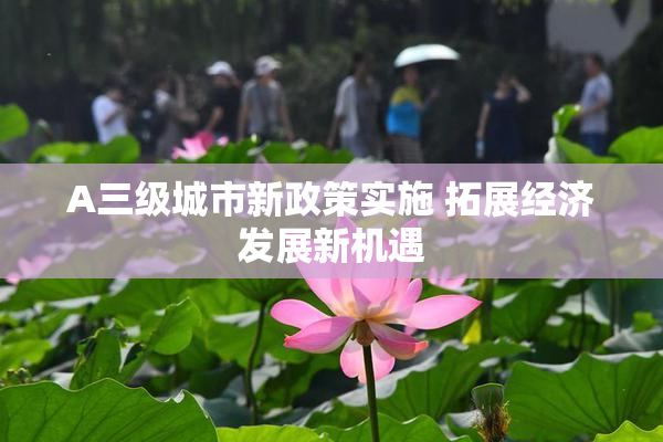 A三级城市新政策实施 拓展经济发展新机遇