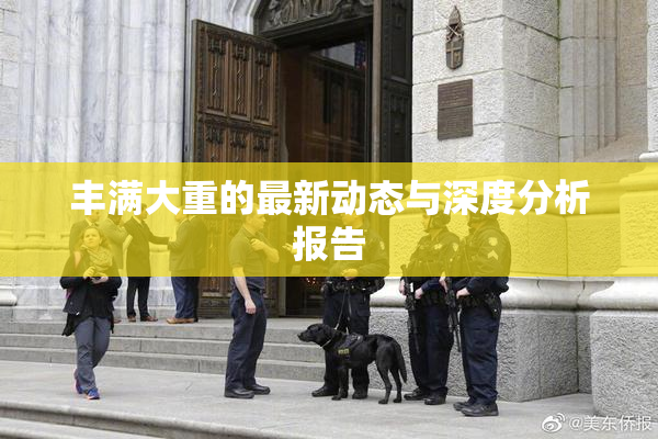 丰满大重的最新动态与深度分析报告