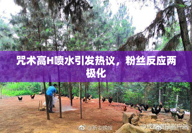 咒术高H喷水引发热议，粉丝反应两极化