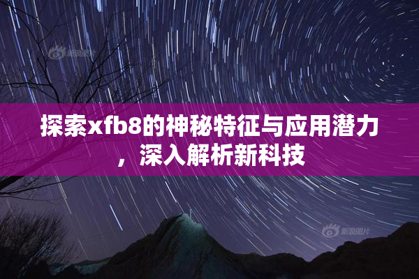 探索xfb8的神秘特征与应用潜力，深入解析新科技