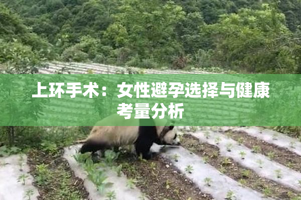 上环手术：女性避孕选择与健康考量分析