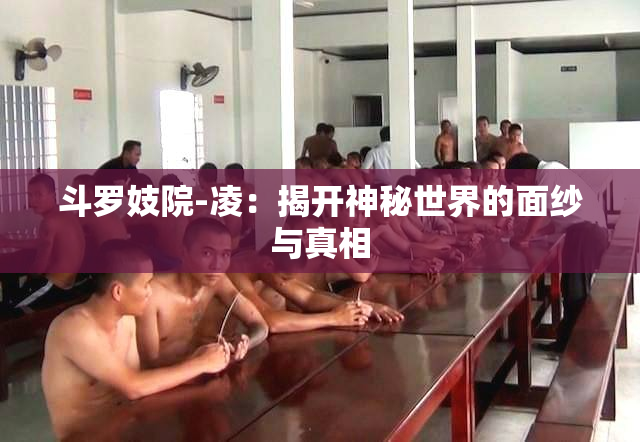 斗罗妓院-凌：揭开神秘世界的面纱与真相
