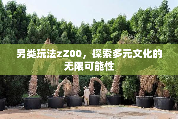 另类玩法zZ00，探索多元文化的无限可能性